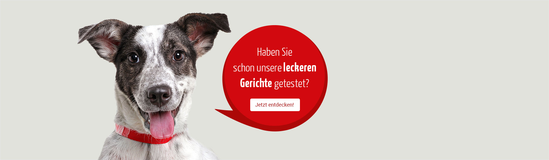 Haben Sie schon unsere leckeren Gerichte getestet? Jetzt entdecken!